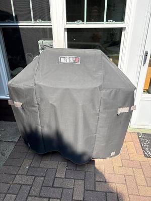 Weber grill with cover