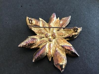 Poinsettia Brooch