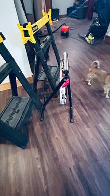 NEAT AND CONVENIENT STANLEY FOLDING SAWHORSES AND HAUL MASTER ROLLER STAND
