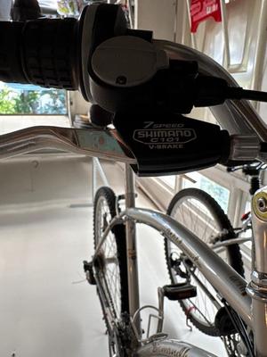 Men’s Diamondback Wildwood Bike