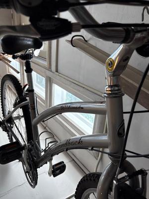 Diamondback Wildwood ladies bicycle