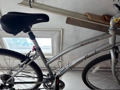 Diamondback Wildwood ladies bicycle