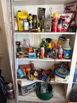 Various garage items and limb lopper