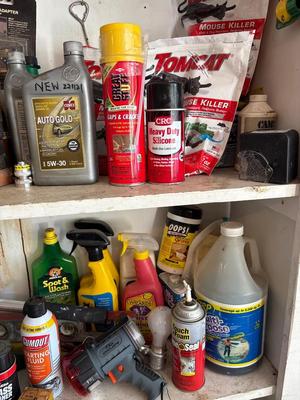 Various garage items and limb lopper