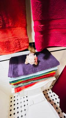 TOWEL SETS, SHOWER CURTAIN AND NICE CHROME CURVED ROD, TRASH CAN AND TOILET BRUSH HOLDER