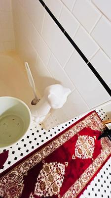 TOWEL SETS, SHOWER CURTAIN AND NICE CHROME CURVED ROD, TRASH CAN AND TOILET BRUSH HOLDER