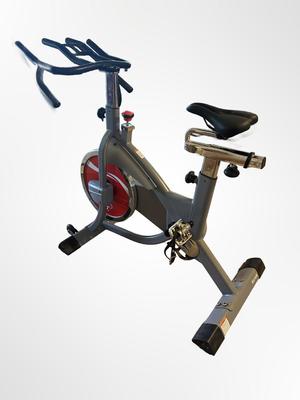 Sunny Health & Fitness Indoor Cycling Bike