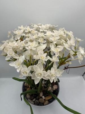 Bombay Company Blue & White Porcelain Bowl with Faux White Flowers