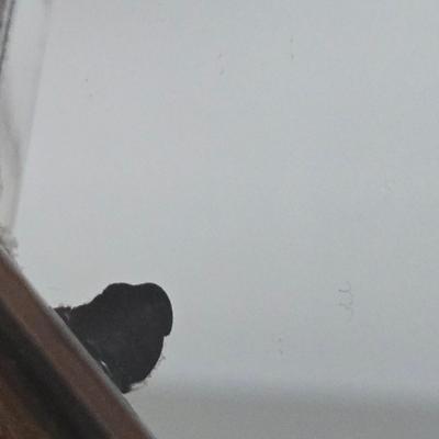 Sale Photo Thumbnail #401