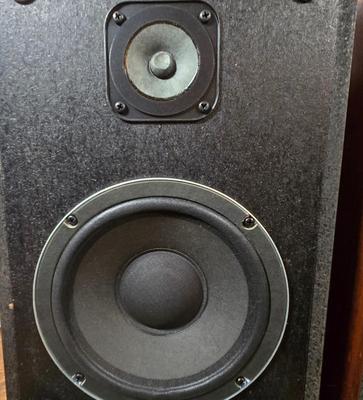 LOT 56D: Two Realistic Speakers