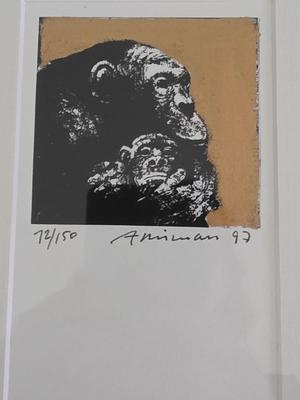 Art Piece 72/150