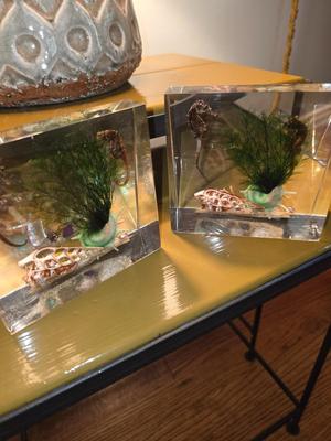 Vintage Lucite Ocean Themed Bookends