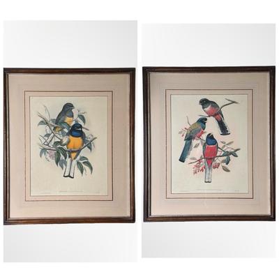 Pair of Framed Ornithological Prints by John Gould – Trogon Variegatus & Trogon Aurantius
