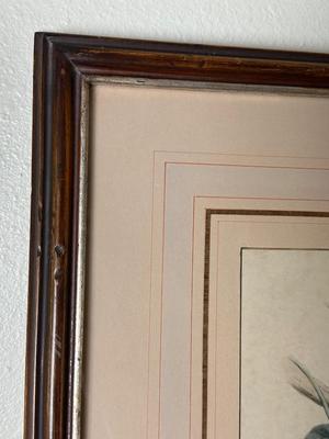 Pair of Framed Ornithological Prints by John Gould – Trogon Variegatus & Trogon Aurantius