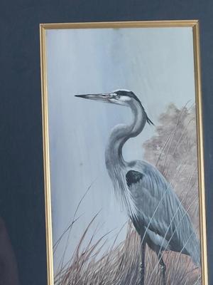 Pair of Framed Signed & Numbered Bird Prints by Binks