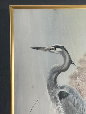 Pair of Framed Signed & Numbered Bird Prints by Binks