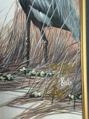 Pair of Framed Signed & Numbered Bird Prints by Binks