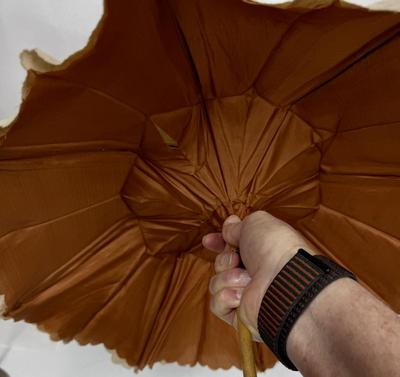 Antique Parasol Umbrella with Folding Wood Handle