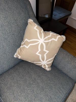 Sale Photo Thumbnail #95: E22-loveseat and throw pillows