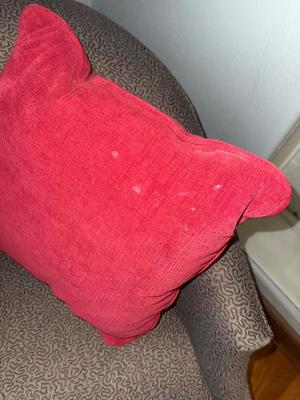 Sale Photo Thumbnail #207: P14-barrel armchair with accent pillow