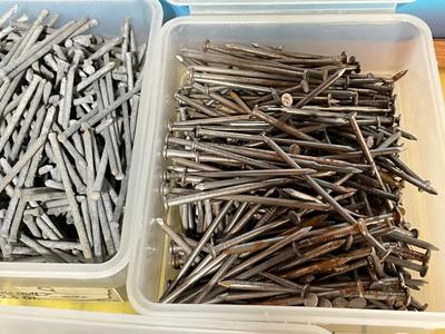 Regular and Galvanized Nails