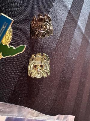 MILITARY PINS