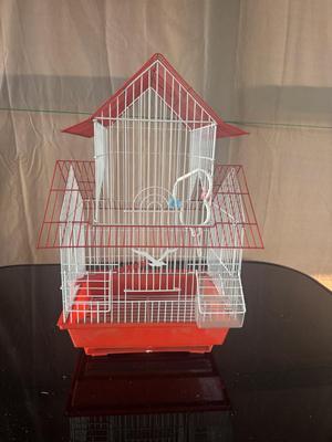 BIRD CAGE