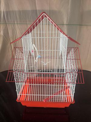 BIRD CAGE