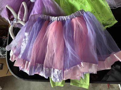 LITTLE GIRL'S COSTUME/DRESS UP CLOTHES SIZES 3 - 6