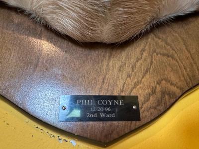 Mounted Whitetail Deer Shoulder Mount