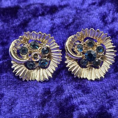 LOT 17J: Variety of Earrings Including One Pair of Abalone