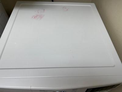 LG Front Load Electric Dryer