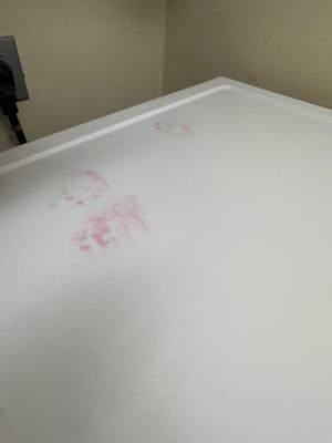 LG Front Load Electric Dryer