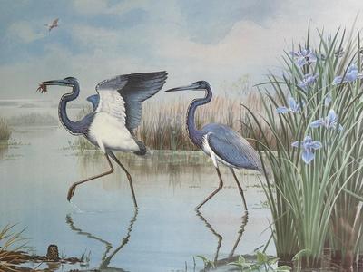 Murrell Butler Signed Limited Edition Framed Print The Crawfish Hunters