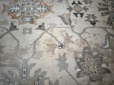 Large Neutral Floral Area Rug 8 x 10