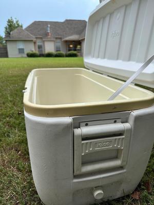 Large 36” Igloo Cooler