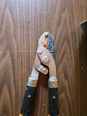 Electric weed eater, Loppers, and a bow saw