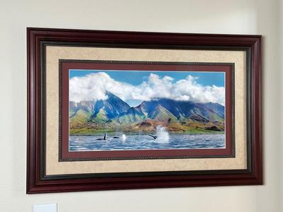 Framed Maui Whale Photography Print
