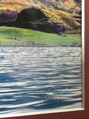 Framed Maui Whale Photography Print