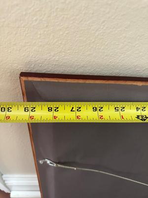 Framed Maui Whale Photography Print