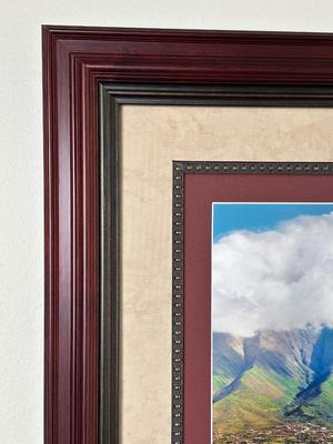 Framed Maui Whale Photography Print
