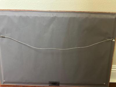 Framed Maui Whale Photography Print