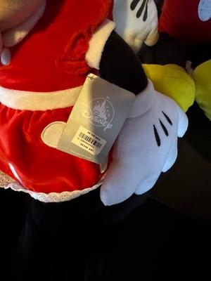 DISNEY'S MICKEY, MINNIE AND FRIENDS