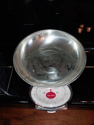 TAYLOR KITCHEN SCALE