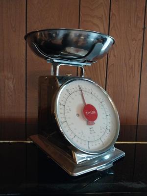 TAYLOR KITCHEN SCALE