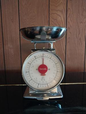 TAYLOR KITCHEN SCALE