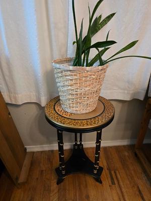 Living snake plant / Mother - in law in pot with jungle themed wooden plant stand
