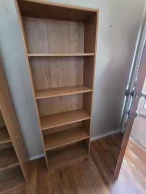 Tall bookshelf (2 of 2)