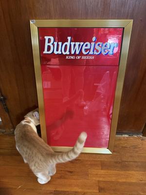 Sale Photo Thumbnail #3218: .