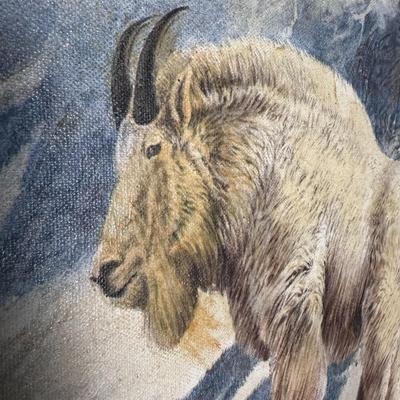 Framed Art - Giclee on canvas of mountain goat